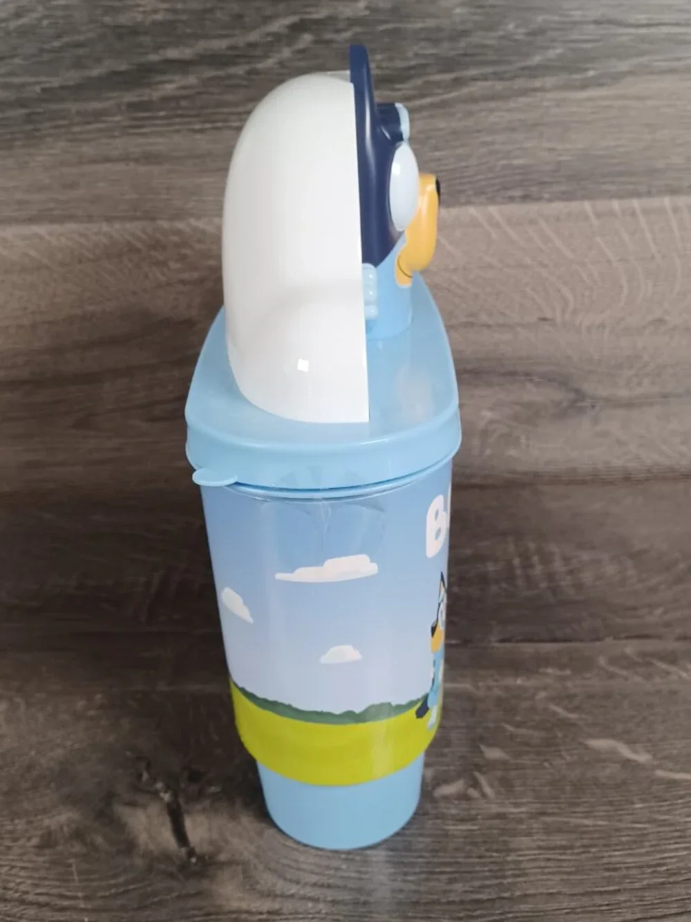 Bluey nib creative